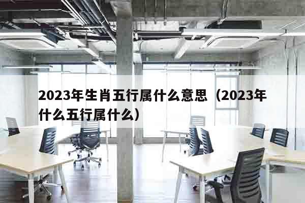 2023年生肖五行属什么意思（2023年什么五行属什么）