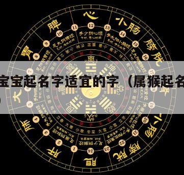 属猴的宝宝起名字适宜的字（属猴起名字适合用的字）