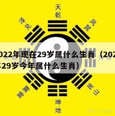 2022年现在29岁属什么生肖（2021年29岁今年属什么生肖）