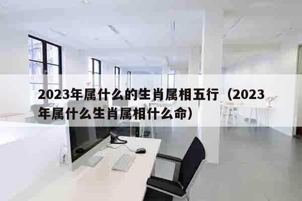2023年属什么的生肖属相五行（2023年属什么生肖属相什么命）