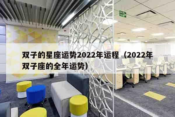 双子的星座运势2022年运程（2022年双子座的全年运势）