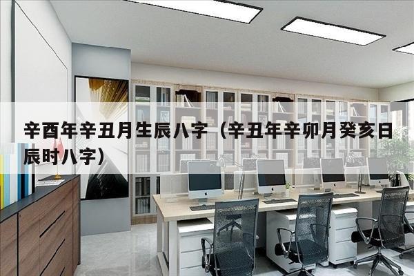 辛酉年辛丑月生辰八字（辛丑年辛卯月癸亥日辰时八字）