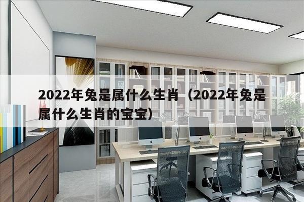 2022年兔是属什么生肖（2022年兔是属什么生肖的宝宝）