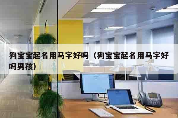 狗宝宝起名用马字好吗（狗宝宝起名用马字好吗男孩）