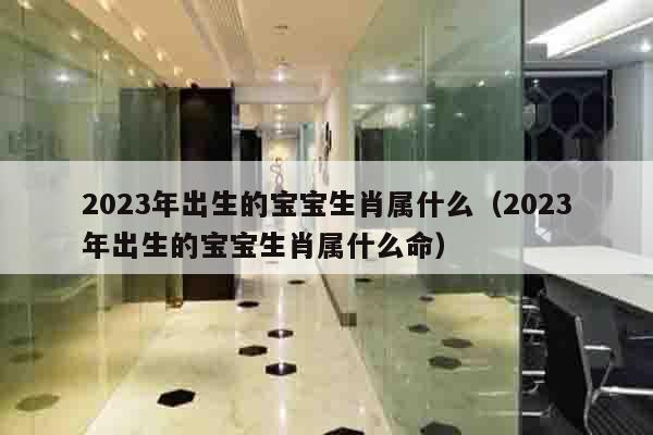 2023年出生的宝宝生肖属什么（2023年出生的宝宝生肖属什么命）