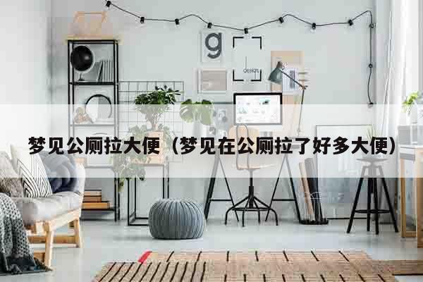 梦见公厕拉大便（梦见在公厕拉了好多大便）