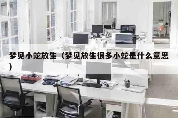 梦见小蛇放生（梦见放生很多小蛇是什么意思）
