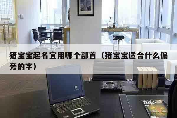 猪宝宝起名宜用哪个部首（猪宝宝适合什么偏旁的字）