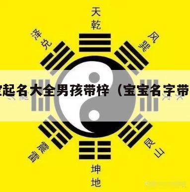 给宝宝起名大全男孩带梓（宝宝名字带梓的男宝宝）