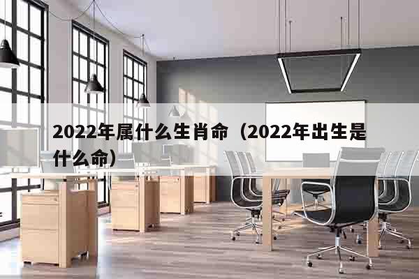 2022年属什么生肖命（2022年出生是什么命）