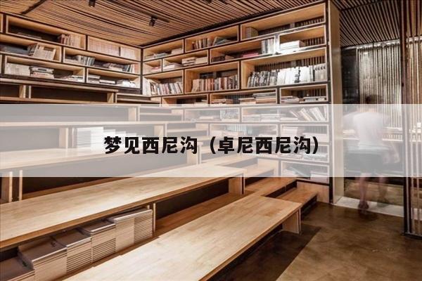 梦见西尼沟（卓尼西尼沟）