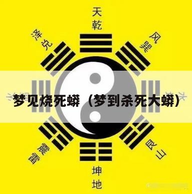 梦见烧死蟒（梦到杀死大蟒）