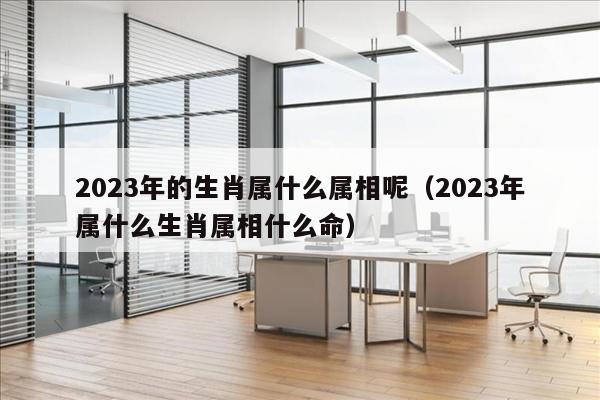 2023年的生肖属什么属相呢（2023年属什么生肖属相什么命）