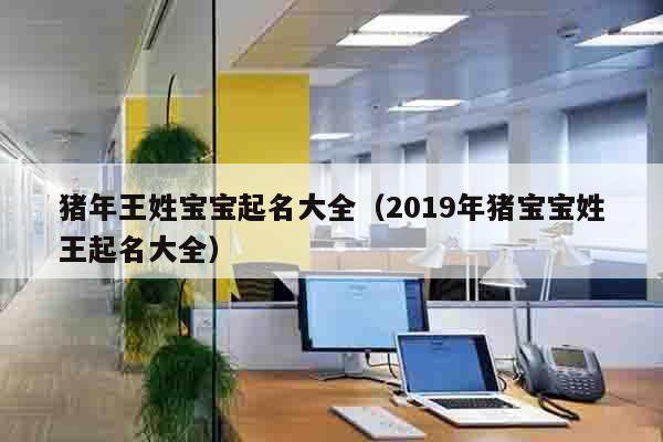 猪年王姓宝宝起名大全（2019年猪宝宝姓王起名大全）