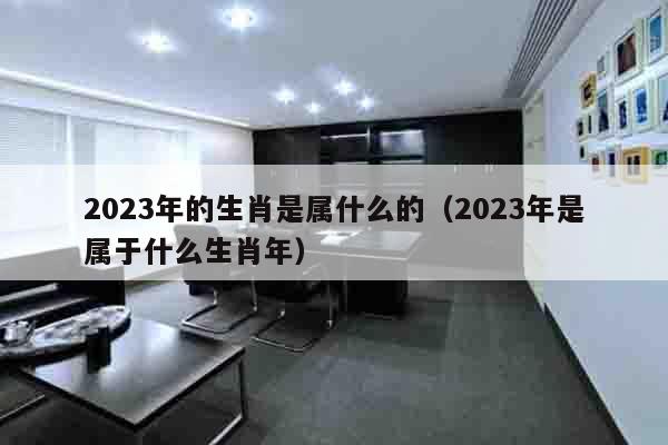 2023年的生肖是属什么的（2023年是属于什么生肖年）