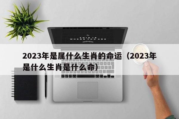 2023年是属什么生肖的命运（2023年是什么生肖是什么命）