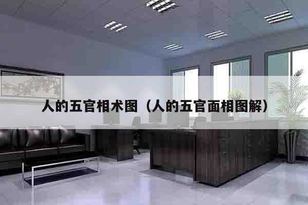 人的五官相术图（人的五官面相图解）