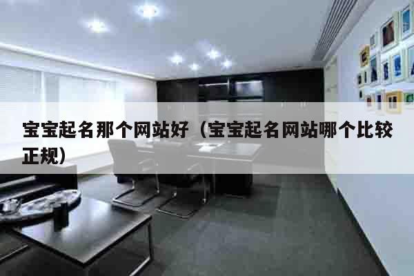 宝宝起名那个网站好（宝宝起名网站哪个比较正规）