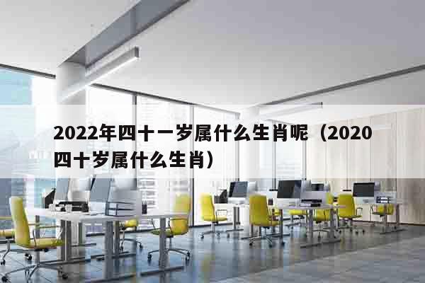 2022年四十一岁属什么生肖呢（2020四十岁属什么生肖）