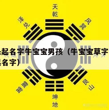 草字头起名字牛宝宝男孩（牛宝宝草字头的字男孩起名字）