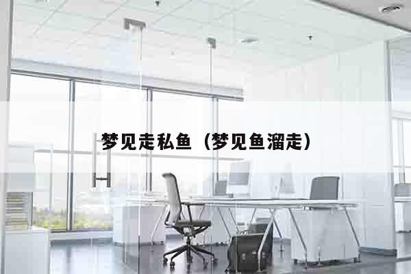 梦见走私鱼（梦见鱼溜走）