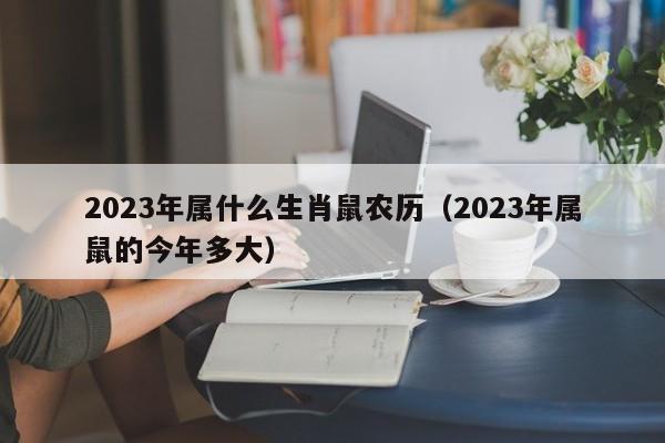 2023年属什么生肖鼠农历（2023年属鼠的今年多大）