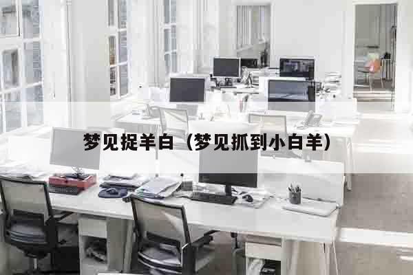 梦见捉羊白（梦见抓到小白羊）