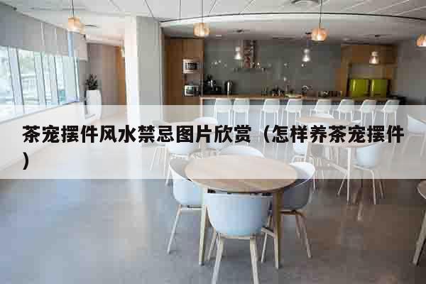 茶宠摆件风水禁忌图片欣赏（怎样养茶宠摆件）