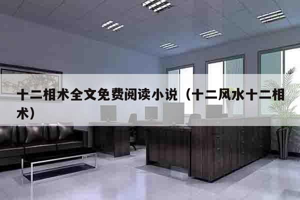 十二相术全文免费阅读小说（十二风水十二相术）