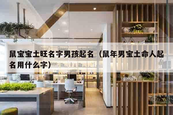 鼠宝宝土旺名字男孩起名（鼠年男宝土命人起名用什么字）