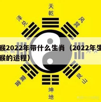属猴2022年带什么生肖（2022年生肖属猴的运程）
