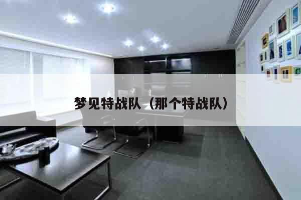 梦见特战队（那个特战队）