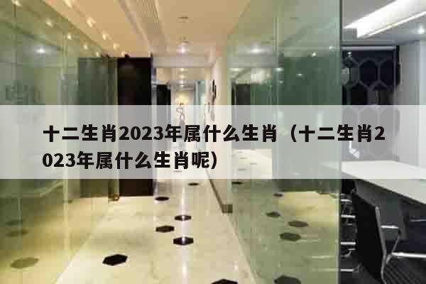 十二生肖2023年属什么生肖（十二生肖2023年属什么生肖呢）