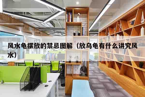 风水龟摆放的禁忌图解（放乌龟有什么讲究风水）