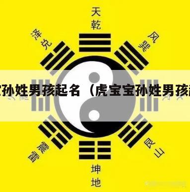 虎宝宝孙姓男孩起名（虎宝宝孙姓男孩起名大全）