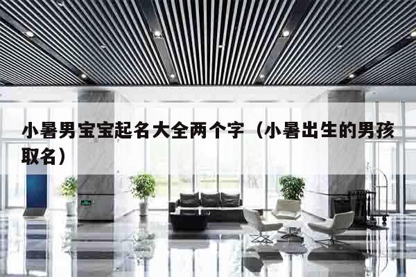 小暑男宝宝起名大全两个字（小暑出生的男孩取名）