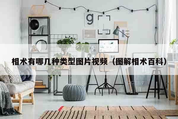 相术有哪几种类型图片视频（图解相术百科）