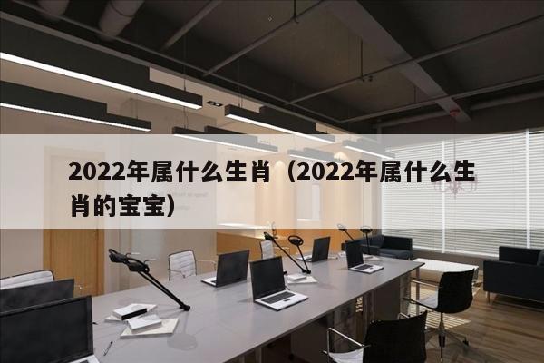 2022年属什么生肖（2022年属什么生肖的宝宝）