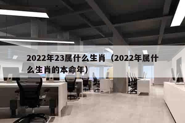 2022年23属什么生肖（2022年属什么生肖的本命年）