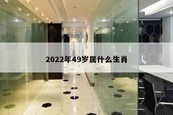 2022年49岁属什么生肖