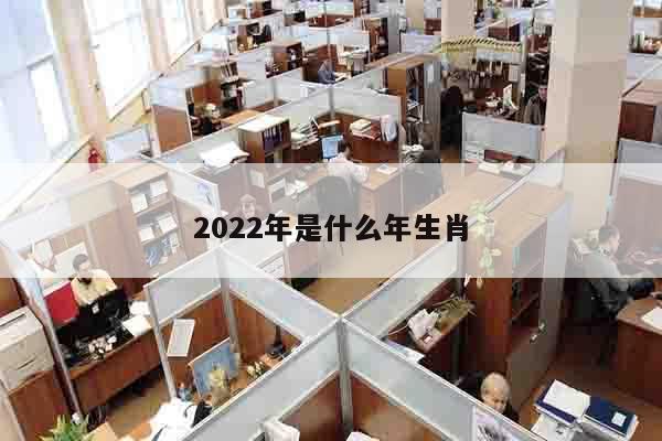 2022年是什么年生肖