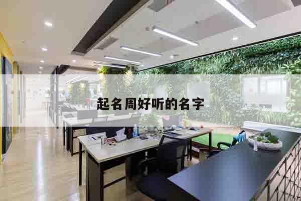 起名周好听的名字