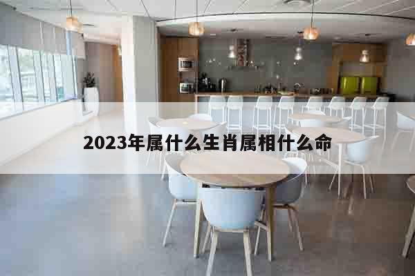 2023年属什么生肖属相什么命