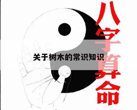 关于树木的常识知识