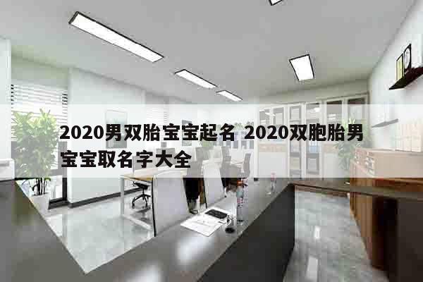 2020男双胎宝宝起名 2020双胞胎男宝宝取名字大全
