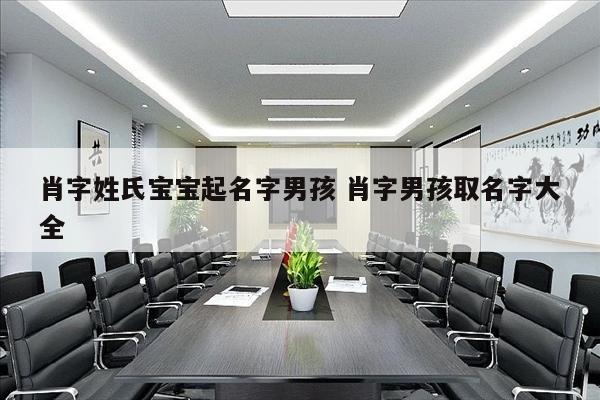 肖字姓氏宝宝起名字男孩 肖字男孩取名字大全