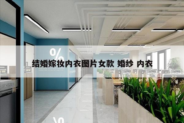 结婚嫁妆内衣图片女款 婚纱 内衣