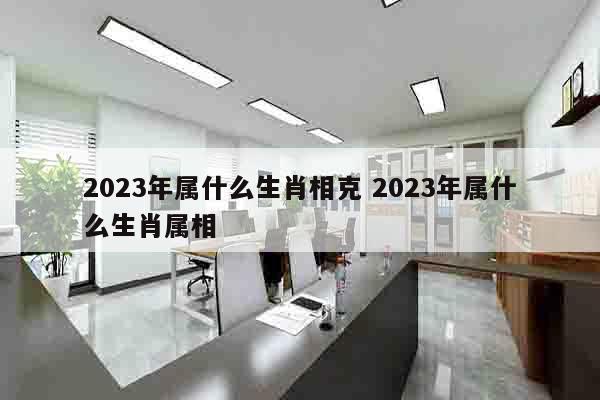 2023年属什么生肖相克 2023年属什么生肖属相