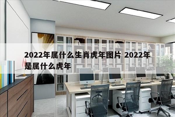 2022年属什么生肖虎年图片 2022年是属什么虎年