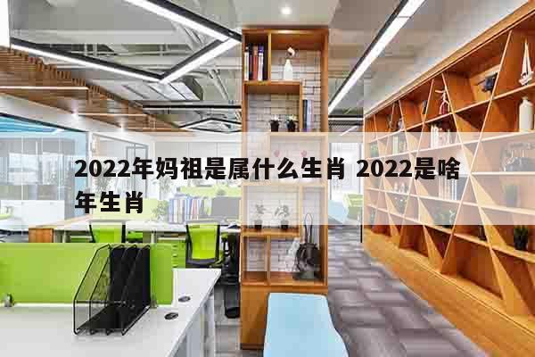 2022年妈祖是属什么生肖 2022是啥年生肖